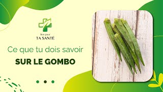 Tout ce que vous devez savoir sur le Gombo [upl. by Meehsar]