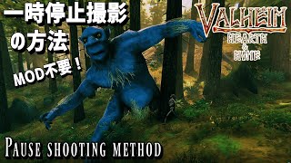 【Valheimヴァルヘイム】『一時停止撮影の方法』Pause shooting method【撮影解説 】「 Hearth＆Home」【No MOD】ゲーム実況・建築【オープンワールド】 [upl. by Hackett]