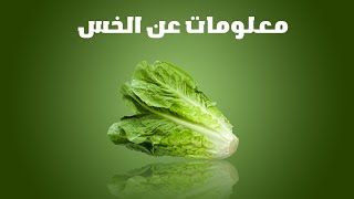 الخس الوصف النباتي والفوائد [upl. by Florian741]