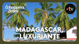 Madagascar luxuriante et généreuse  Échappées belles [upl. by Seagraves]