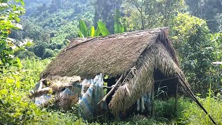 Wild Life Indigenous People Fishing and Foraging in the Forest [upl. by Temme365]