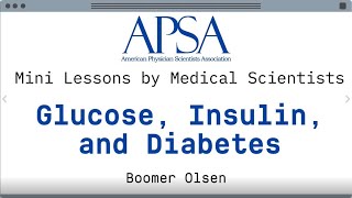 Mini Lessons by Medical Scientists quotGlucose Insulin and Diabetesquot [upl. by Naveb]