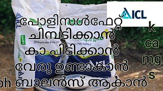 ICL polysulphateപൊളിസൾഫേറ്റ് ചിമ്പാടിക്കാൻ സൂപ്പർ കോമ്പോ 👌👌👌👌 [upl. by Rep830]