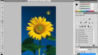 Photoshop Tutorial The Clone Stamp Tool Adobe Training Lesson 1414 [upl. by Ahseinaj]