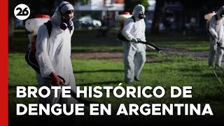 🦟 ARGENTINA  EN VIVO  Brote HISTÓRICO deja más de 200000 casos de dengue en el país [upl. by Teriann456]