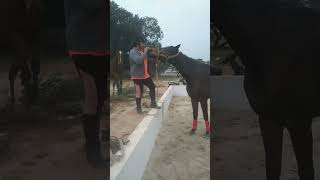 CHRISTURAJ RIDING CLASS BANGALORE [upl. by Quintie]