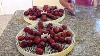 Dried FruitJujube FruitHow To Make Dried FruitHow To Dehydrate FruitFoodMeatVietnamese Food [upl. by Jari68]