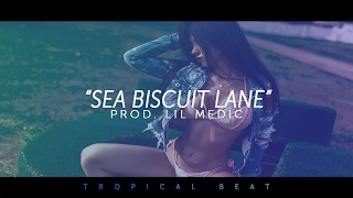 Sea Biscuit Lane  Tropical EDM Pop Beat Instrumental 2019 [upl. by Eninnaj]