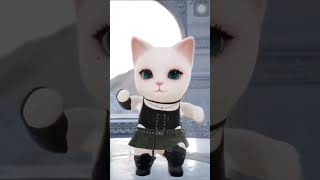 Cat dancing to Chinese song cat catdancing dancing china chinese comedy comment [upl. by Sualohcin]