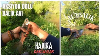 DEREDE MÜKEMMEL BALIK AVI  HARİKA ALABALIK AVI  FİSHİNG alabalık fishing keşfet [upl. by Nitsoj58]