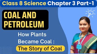 Class 8th Science Chapter 3 Coal and Petroleum  Story of Coal Class 8  Coalification [upl. by Israeli862]