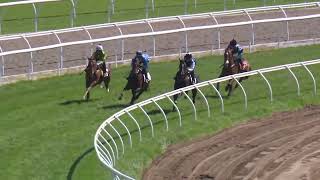 2024 10 09 Mornington jumpout 17 [upl. by Sila]