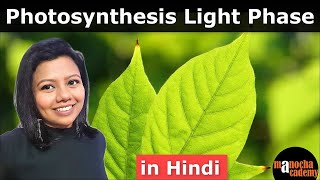 Photosynthesis Light Reaction [upl. by Ecissej631]