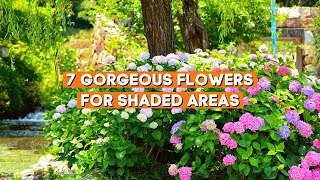 7 Gorgeous Flowers for Shaded Areas 🌼✨  Shade Loving Summer Plants ☀️ [upl. by Yttig]