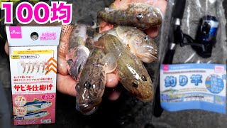 100均の釣具だけでどれだけ釣れるかやってみた【ENG SUB】 [upl. by Carlile432]