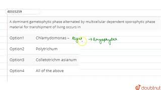 A dominant gametophytic phase alternated by multicellular dependent sporophytic phase material for [upl. by Norty]