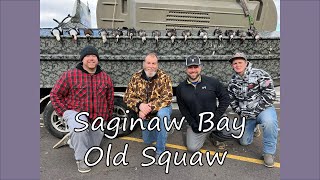 Saginaw Bay Old Squaw [upl. by Roee]