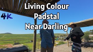 Autism Cape Town talks with Padstal Living Colour owner Darling Scenic View Tasty Healthy Food [upl. by Aderf284]