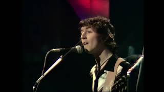 Horslips  Trouble With A Capital T  Live At Cork Opera House 1979 Remixed amp Remastered HD [upl. by Anson53]