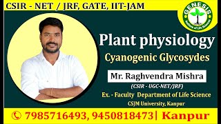 Cyanogenic  Glycosides Secondary Metabolites  CSIR NETJRF  GATE  Life science  ICMR [upl. by Roseann]