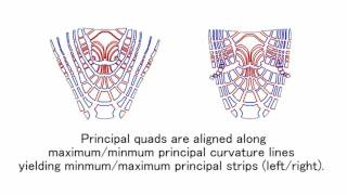 Fabrication of freeform objects by principal stripsSIGGRAPH ASIA 2016 [upl. by Marsden]