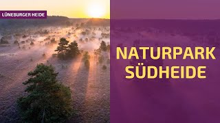 Naturpark Südheide  einzigartig und ungeschliffen [upl. by Llertrac]