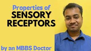 Properties of Sensory Receptors  Neurophysiology [upl. by Hoye263]