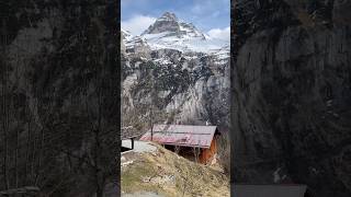 Switzerland 🇨🇭 video swissnature travel nature reels horse swissview swisslandscapes [upl. by Anaib]