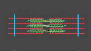 How a muscle contraction is signalled  Animation [upl. by Ahsets]