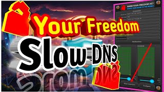 How to Set Up DNS Settings on Your Freedom VPN  Easy StepbyStep Guide [upl. by Marba]