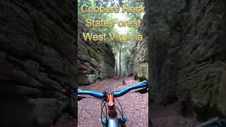 MTB Trails of Coopers Rock State Forest WV mtb mountainbiketrails mtbtrails westvirginia [upl. by Oberstone569]