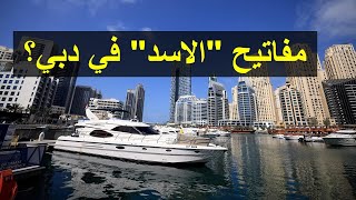 الاسد يبرر quotصمتهquot في القمة ؟ [upl. by Owena402]