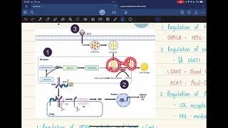 Pharm Biochem  Cholesterol [upl. by Giark655]