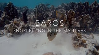 Snorkelling in the Maldives  Baros  2017 [upl. by Ferdie]