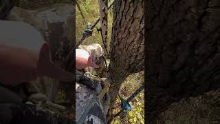 Stick placement hunting deerhunting saddle beaststicks outdoors [upl. by Siram]