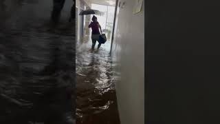 School flooded in Yauco Puerto Rico puertorico yauco ricanreactions rican [upl. by Cowey]