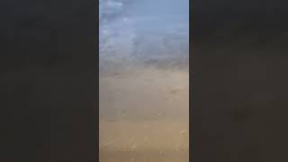 Massive storm in morayfield hail cool fun rain [upl. by Garbers]