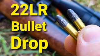 22LR Bullet Drop  Demonstrated and Explained [upl. by Esekram]