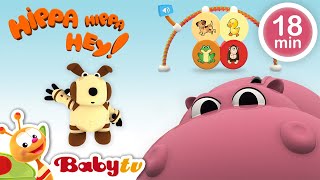 Hippa Hippa Hey 🪀 Suara binatang dan game mencocokkan untuk anakanak  kartun BabyTVIndo​ [upl. by Yehtomit]