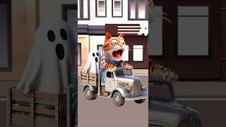 Is the cat scared of ghosts or dogs catlover cutecat catvideos trendingshorts [upl. by Iorgos]