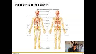 Axial Skeleton [upl. by Amada998]