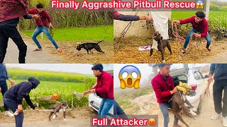 Finally Aggressive Pitbull Rescue Hogya😨Halat Kharab Hogye Rescue Krna Mai😰Full Attacker😡 [upl. by Durkin913]