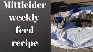 Mittlieder weekly feed recipe EASY mixing instructions [upl. by Ahsuatan]