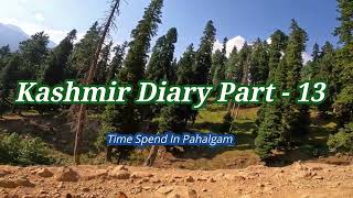 Days At Pahalgham  Kashimr Dairy Part  13 [upl. by Sams]