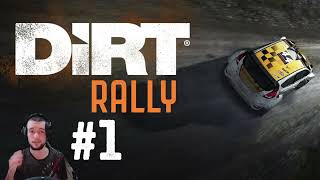 Comment faire fonctionner les leds sur le volant G29 sur Dirt Rally 20 [upl. by Annekcm]