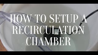 How to Set Up A Water Recirculation Chamber [upl. by Notserp]