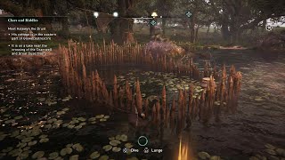 Assassins Creed Valhalla  How to Get the Gold Loot In Druids Cottage [upl. by Rosenwald]