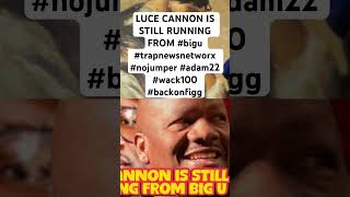 LUCE CANNON IS STILL RUNNING FROM bigu trapnewsnetworx nojumper adam22 wack100 backonfigg [upl. by Riocard]