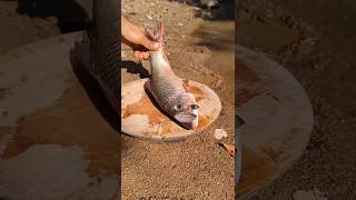 Tandoori Fish Whole Fish Fry🤣😄🤪shorts shortvideo funny comedy [upl. by Kinchen627]