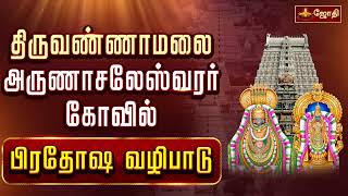 திருவண்ணாமலை ஸ்ரீஅருணாச்சலேஸ்வரர் கோவில்  பிரதோஷ வழிபாடு  Pradosham  Nandhi Abishegam [upl. by Jordon]